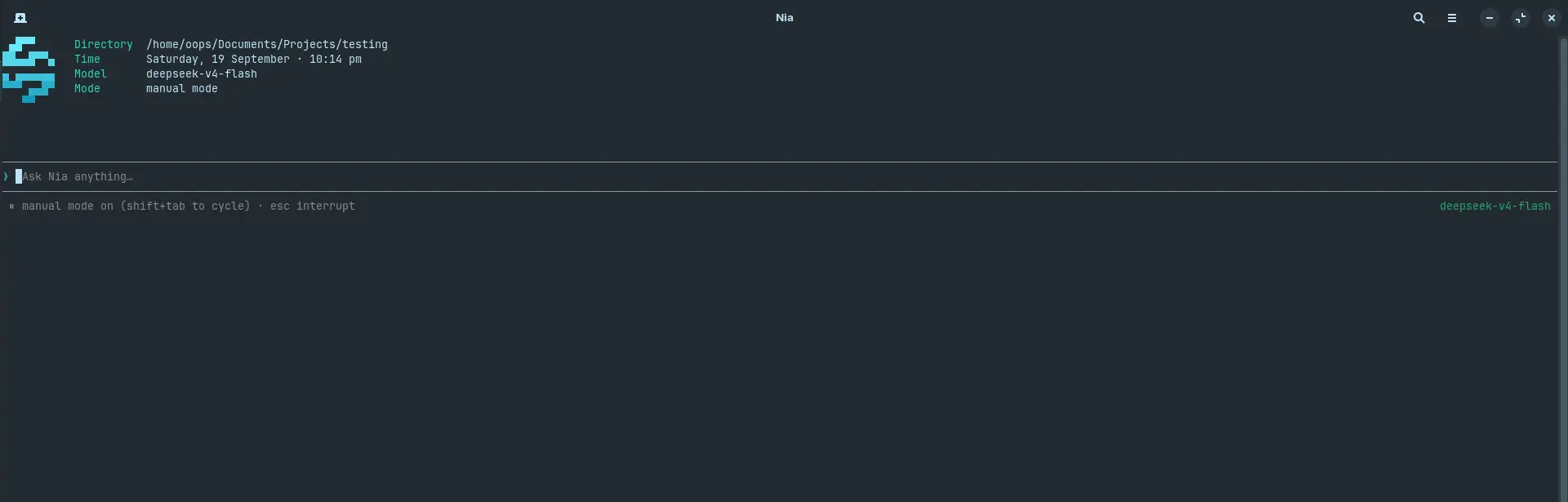 The Nia CLI, open and ready in a project directory