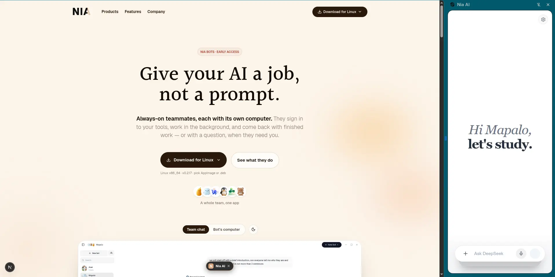The Nia browser extension open as a sidepanel